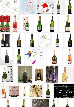Champagne (aoc-aop)